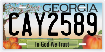 GA license plate CAY2589