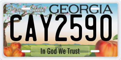 GA license plate CAY2590