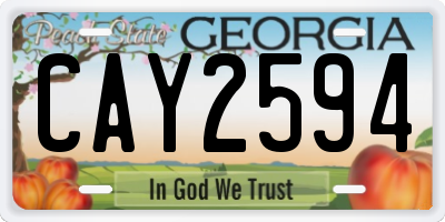 GA license plate CAY2594