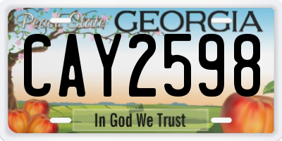 GA license plate CAY2598