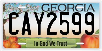 GA license plate CAY2599