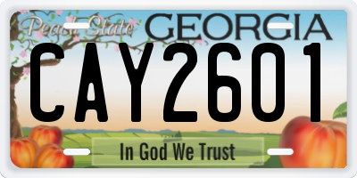 GA license plate CAY2601