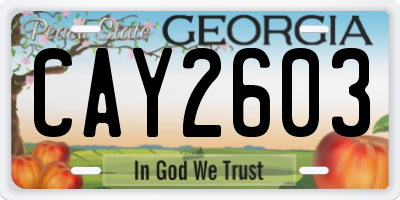 GA license plate CAY2603