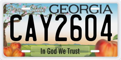 GA license plate CAY2604