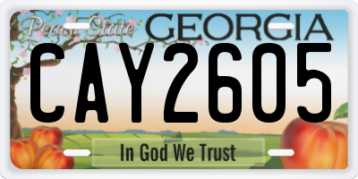 GA license plate CAY2605