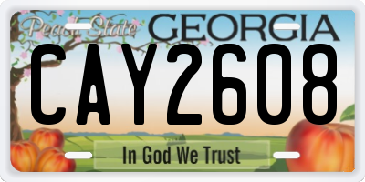 GA license plate CAY2608