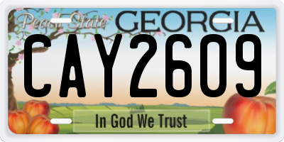 GA license plate CAY2609