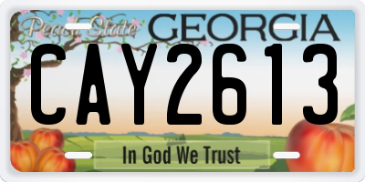 GA license plate CAY2613