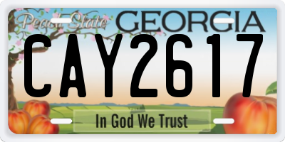 GA license plate CAY2617