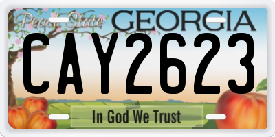 GA license plate CAY2623
