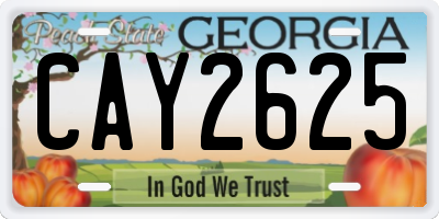 GA license plate CAY2625