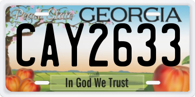 GA license plate CAY2633