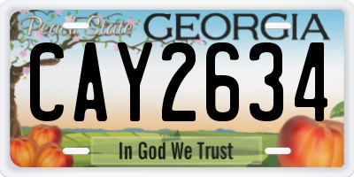 GA license plate CAY2634