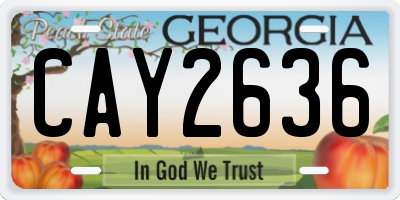 GA license plate CAY2636