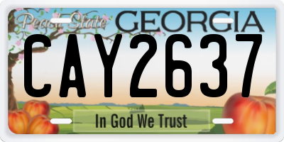 GA license plate CAY2637