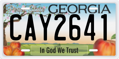 GA license plate CAY2641