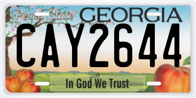 GA license plate CAY2644