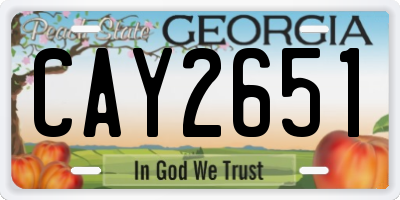 GA license plate CAY2651
