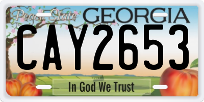 GA license plate CAY2653