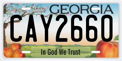 GA license plate CAY2660