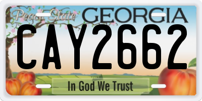 GA license plate CAY2662