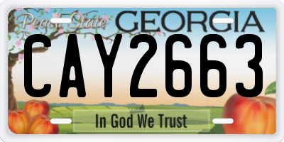 GA license plate CAY2663