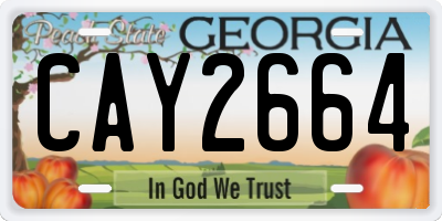 GA license plate CAY2664