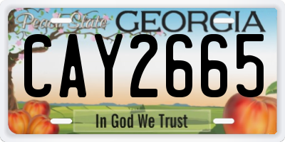 GA license plate CAY2665