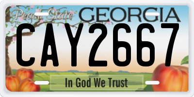GA license plate CAY2667