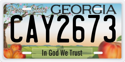 GA license plate CAY2673
