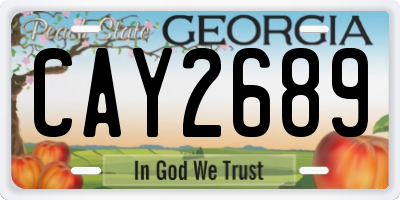 GA license plate CAY2689