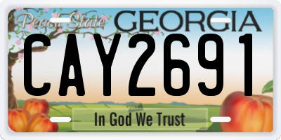 GA license plate CAY2691