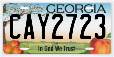 GA license plate CAY2723