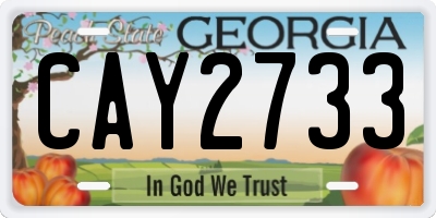 GA license plate CAY2733