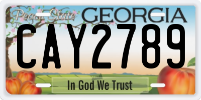 GA license plate CAY2789