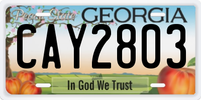 GA license plate CAY2803