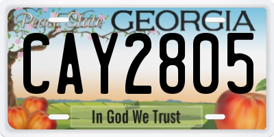 GA license plate CAY2805