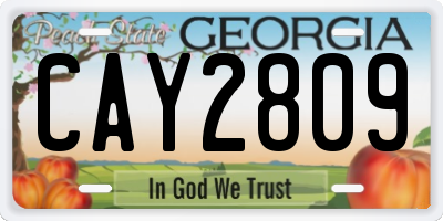 GA license plate CAY2809
