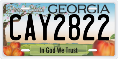 GA license plate CAY2822