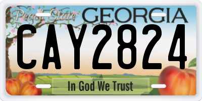 GA license plate CAY2824