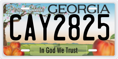GA license plate CAY2825