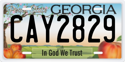 GA license plate CAY2829