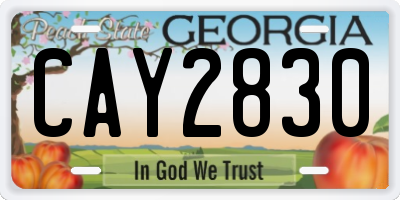 GA license plate CAY2830
