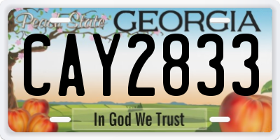 GA license plate CAY2833