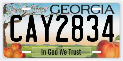 GA license plate CAY2834