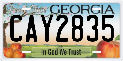 GA license plate CAY2835