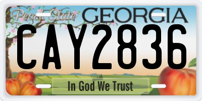 GA license plate CAY2836