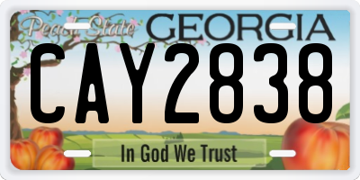GA license plate CAY2838