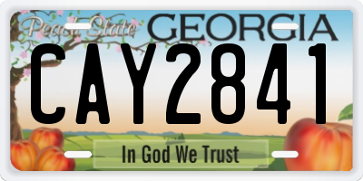 GA license plate CAY2841