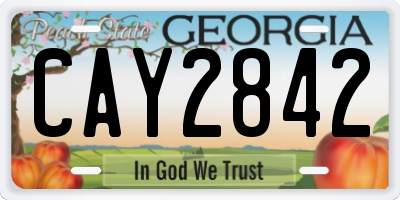 GA license plate CAY2842